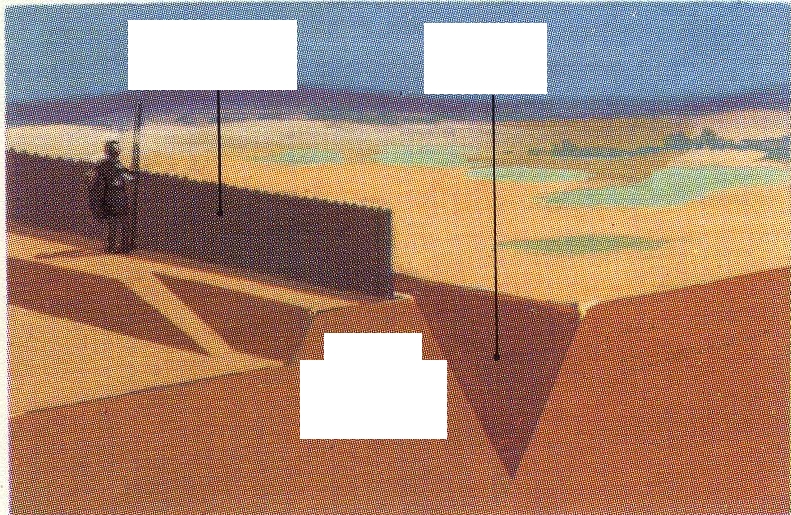 camp romain (detail).jpg